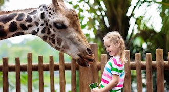 Zoo-Vergleich-Sommer-Teaser