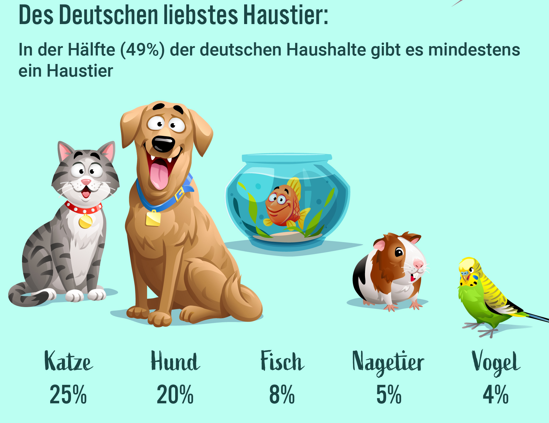 Haustiere_Infografik